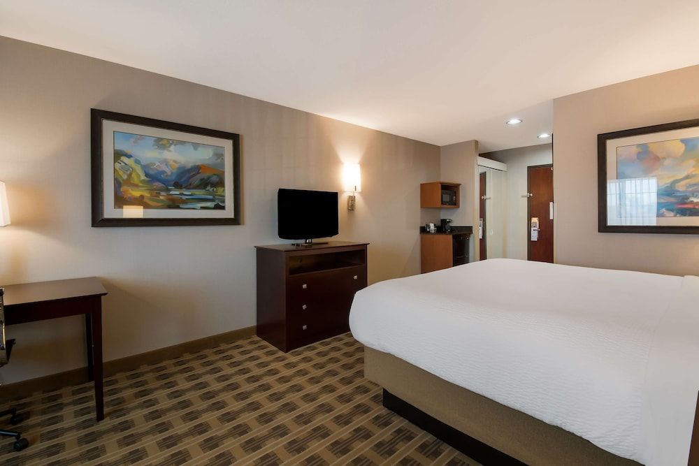 Standard Room, 1 King Bed, Non Smoking, Refrigerator & Microwave