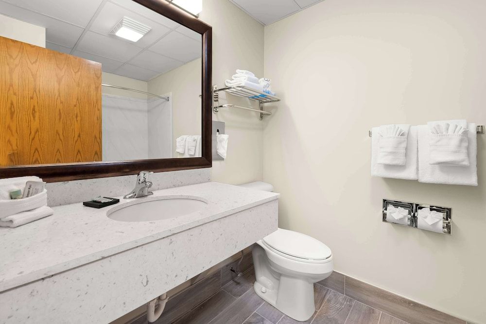 Suite, 1 King Bed, Non Smoking, Refrigerator & Microwave (with Sofabed)