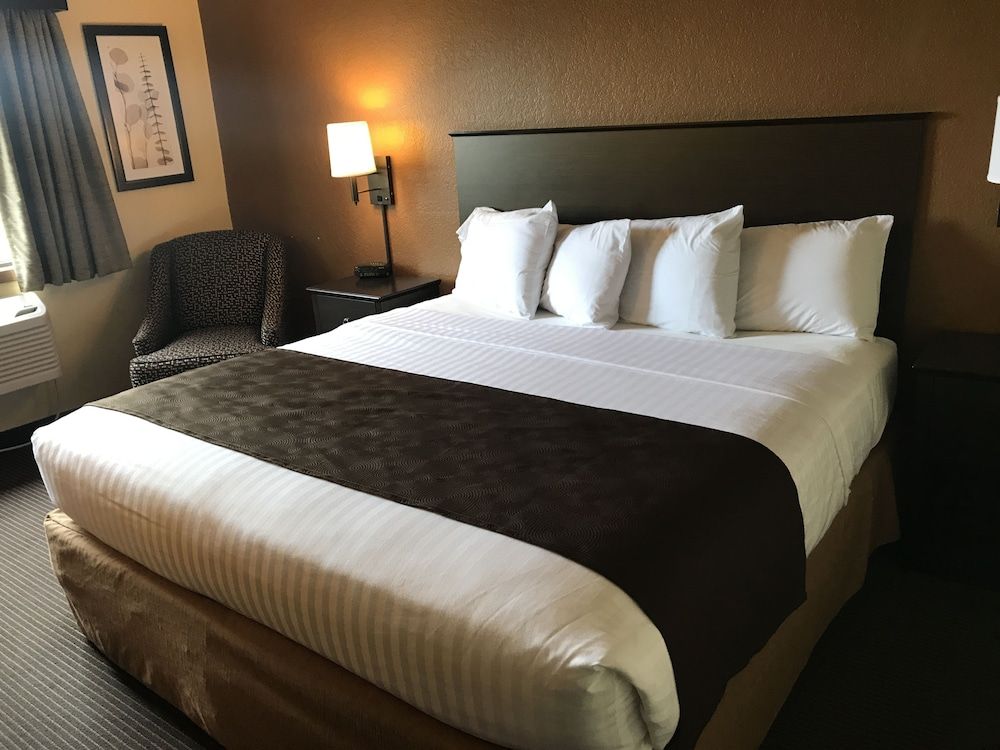Suite, 1 King Bed, Non Smoking (One-Bedroom Suite)
