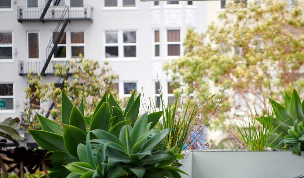 undefined The Phoenix Hotel 8