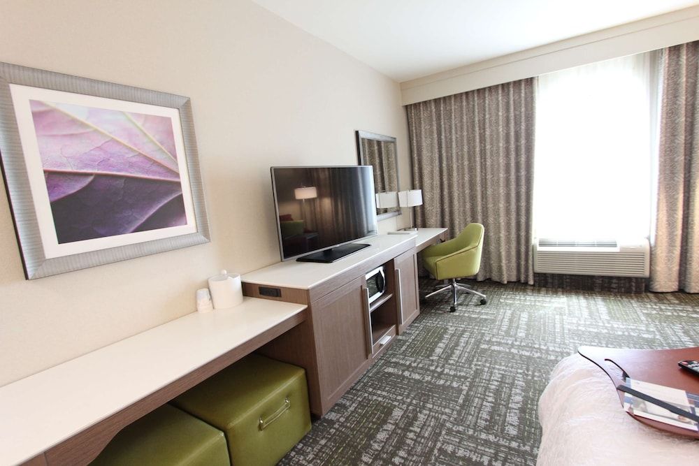 Studio, 1 King Bed, Accessible (Mobility & Hearing, Roll-in Shower)