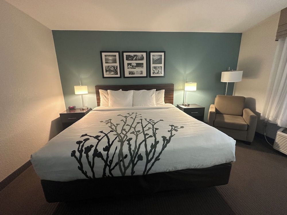 Standard Room, 1 King Bed, Non Smoking