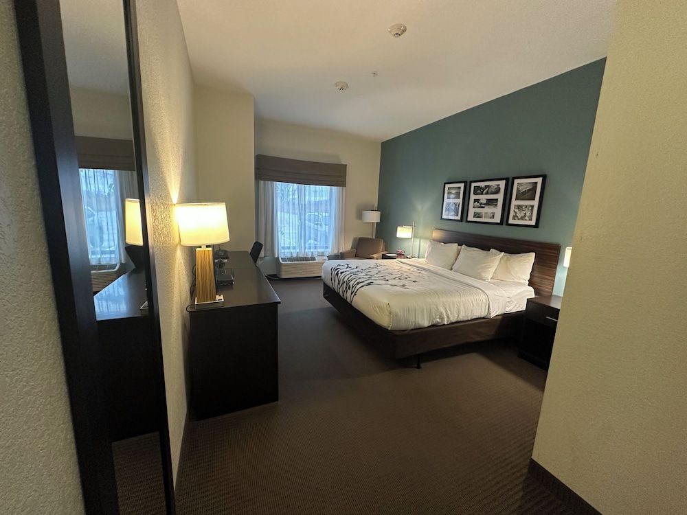 Room, 1 King Bed, Accessible, Non Smoking
