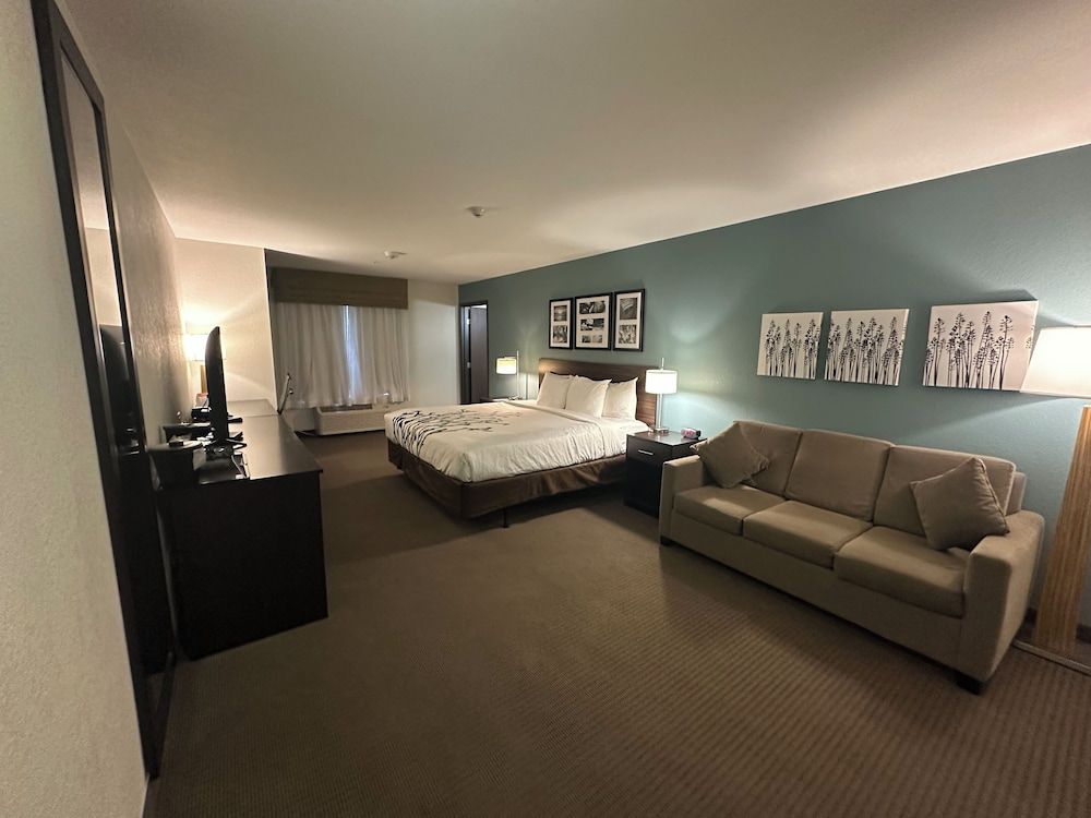 Suite, 1 King Bed with Sofa bed, Accessible, Non Smoking