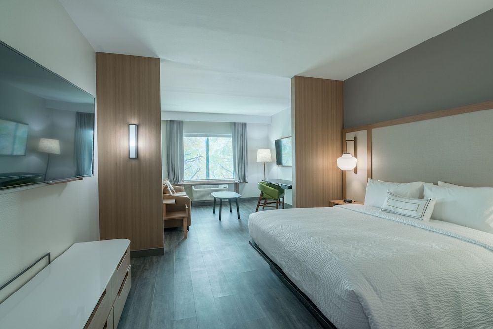 Suite, 1 King Bed with Sofa bed, Non Smoking (Mobility/Hearing Access, Roll-In Shwr)