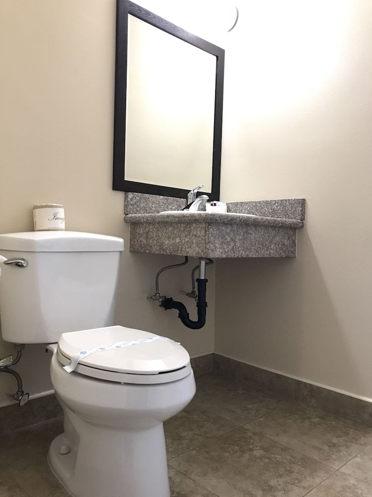 Fullerton Lodge Standard Single Room, 1 Bedroom, Courtyard View 6