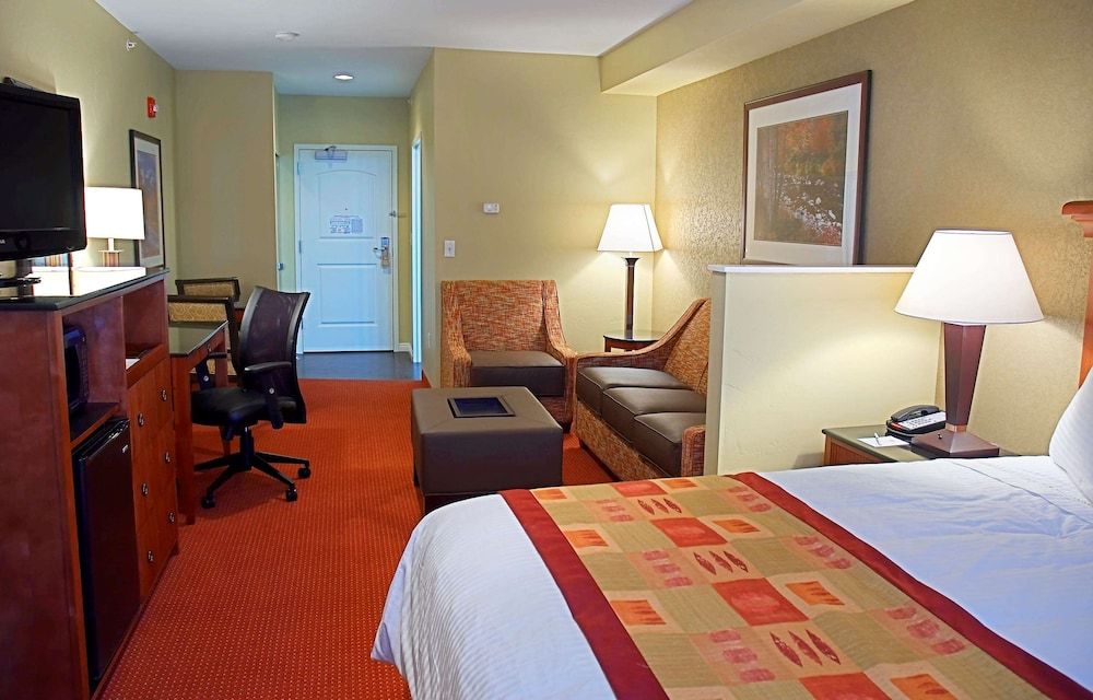 Suite, 1 King Bed, Non Smoking, Refrigerator & Microwave (with Sofabed)