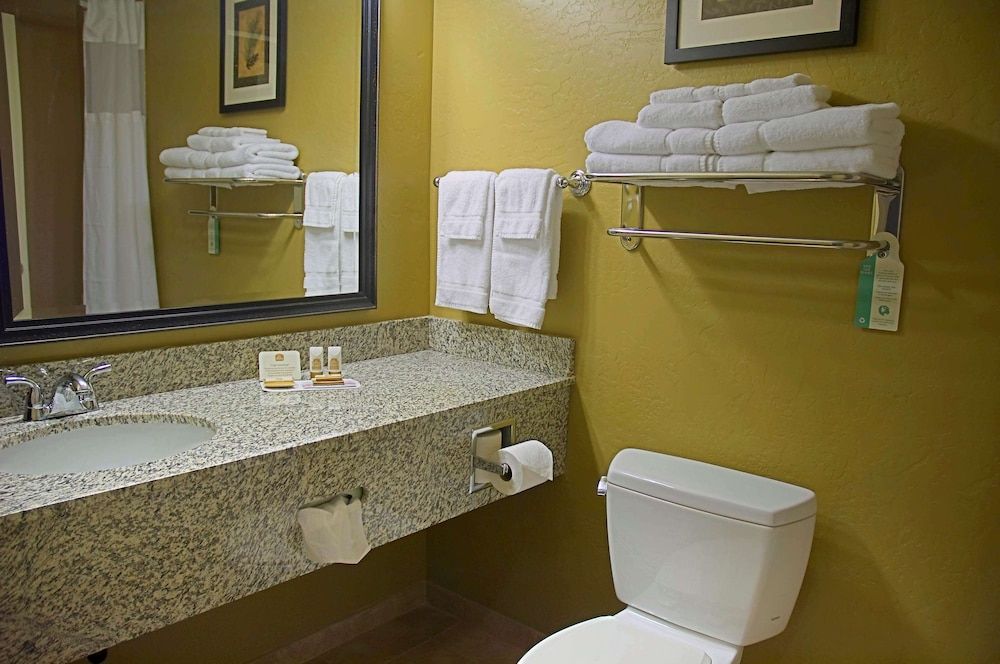 Best Western Plus Canyon Pines Standard Room, 1 King Bed, Accessible, Non Smoking (Walk-in Shower) 2