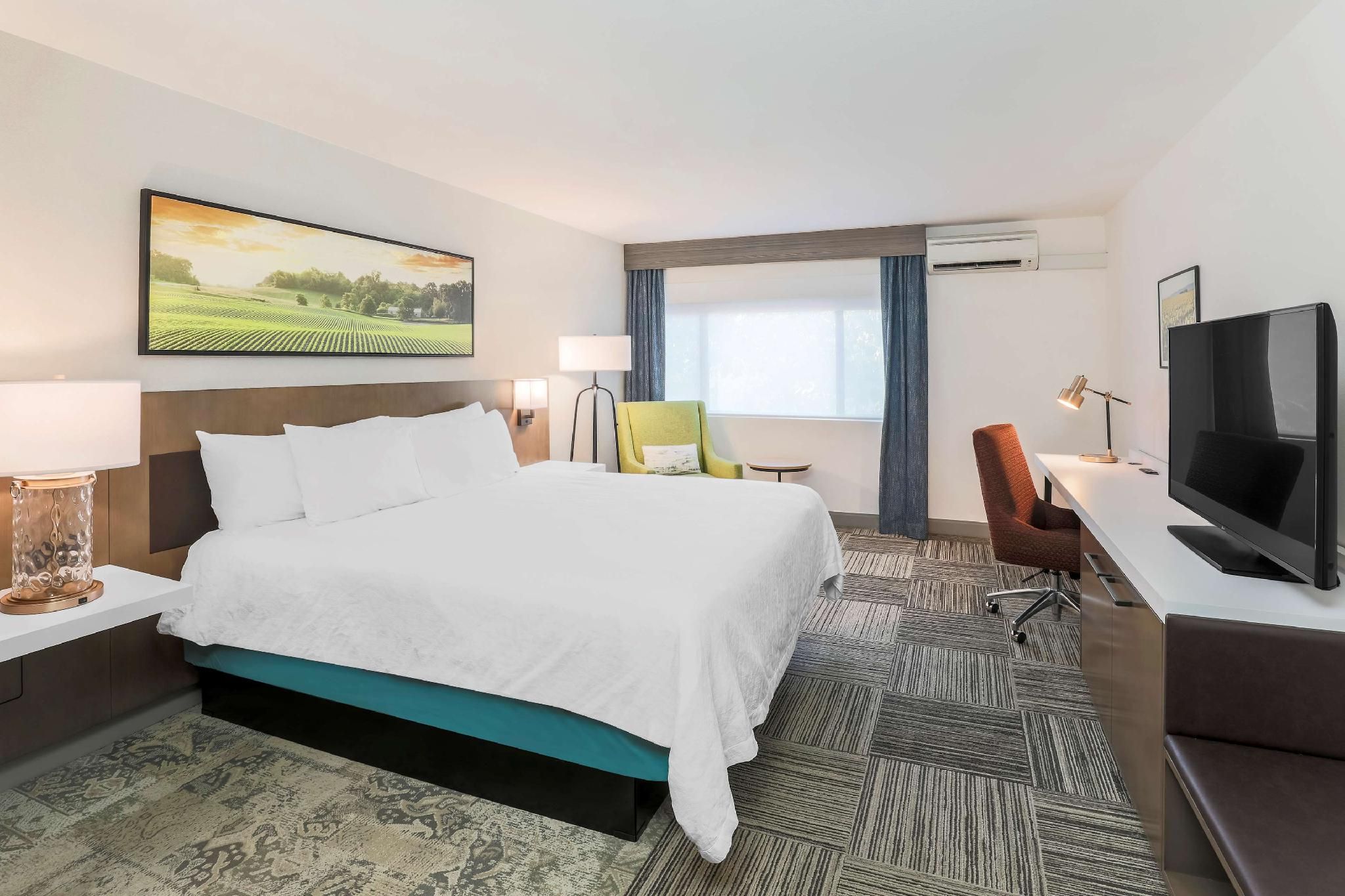1 King Bed
