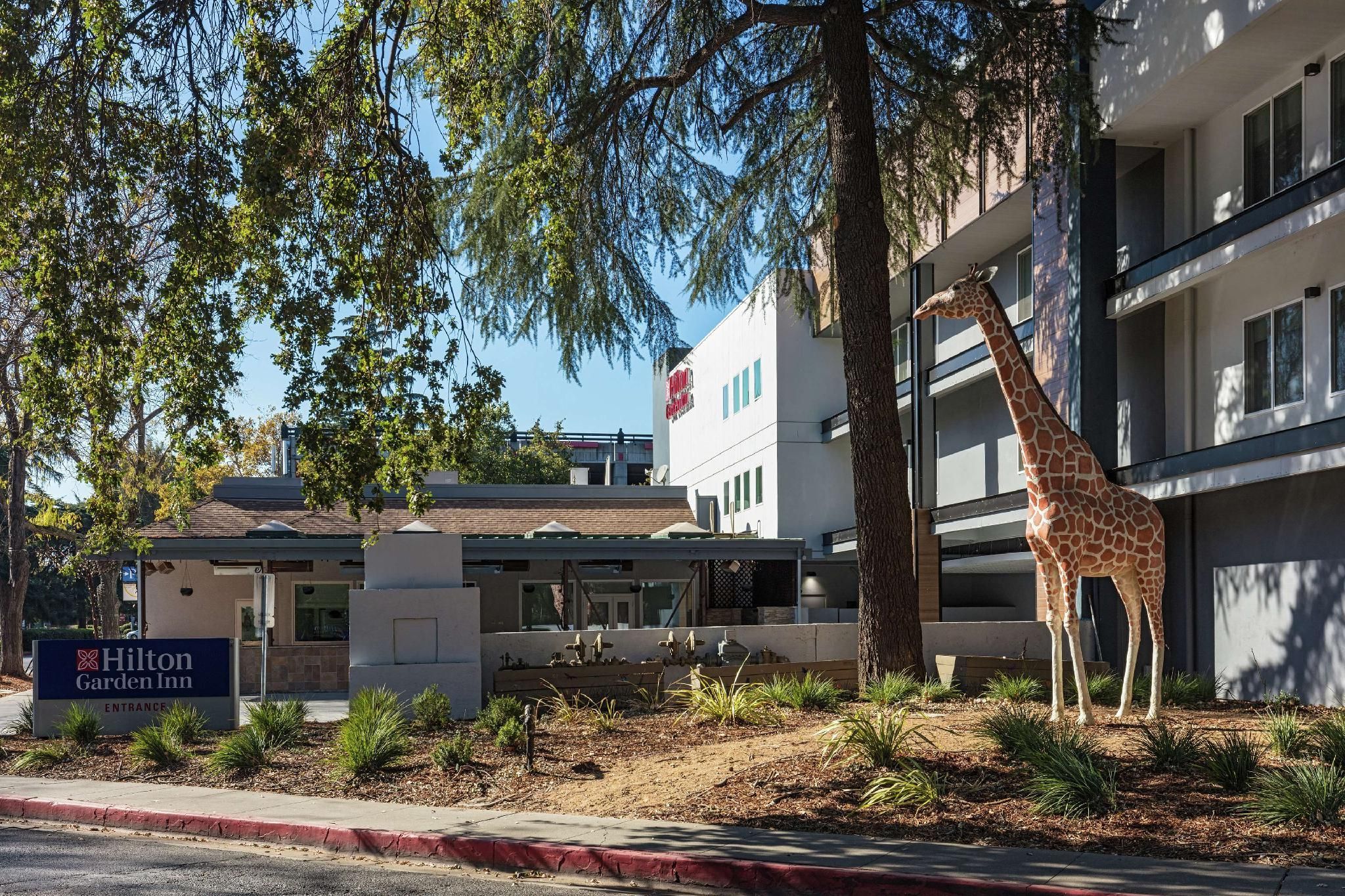 undefined Hilton Garden Inn Davis Downtown 2