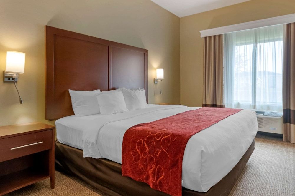 Suite, 1 King Bed with Sofa bed, Accessible, Non Smoking