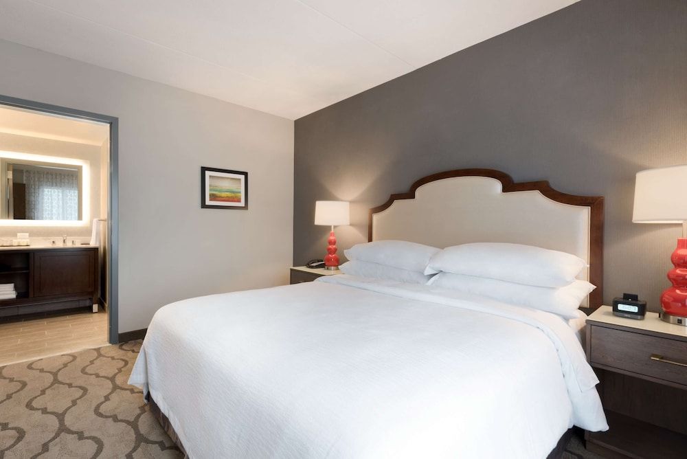 Suite, 1 King Bed, Non Smoking (Accessible with Roll-In Shower)