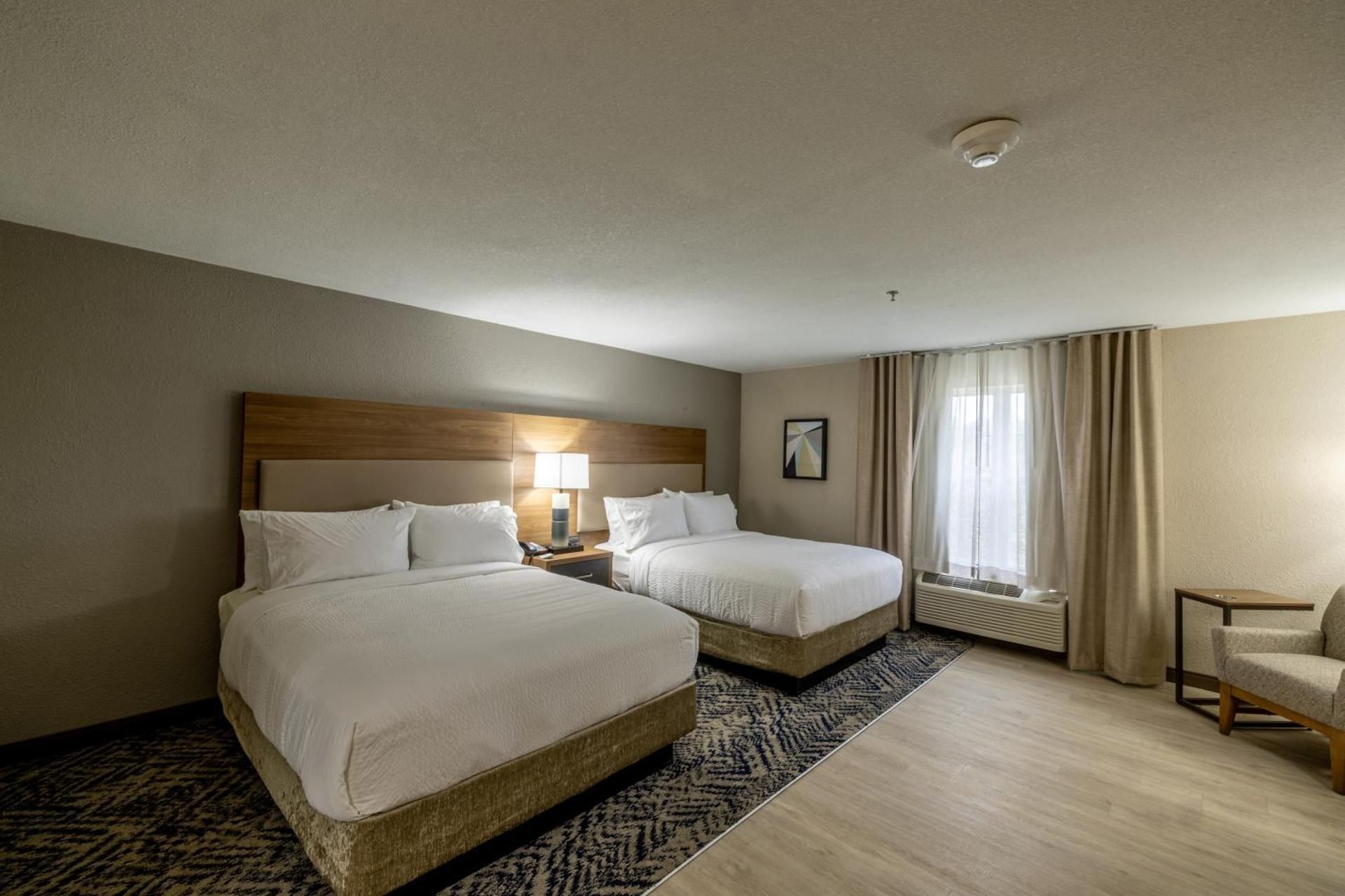 2 Queen Beds Studio Suite