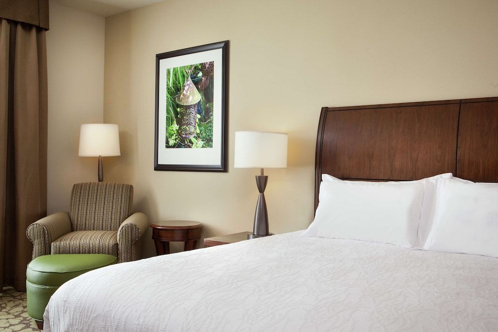 Room, 1 King Bed