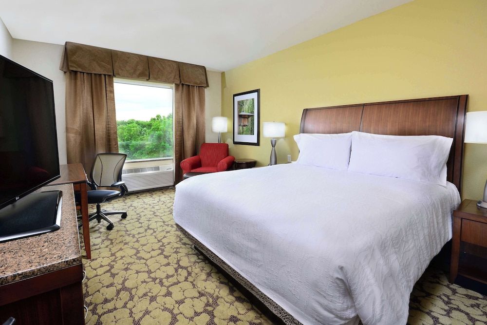 Room, 1 King Bed, Non Smoking