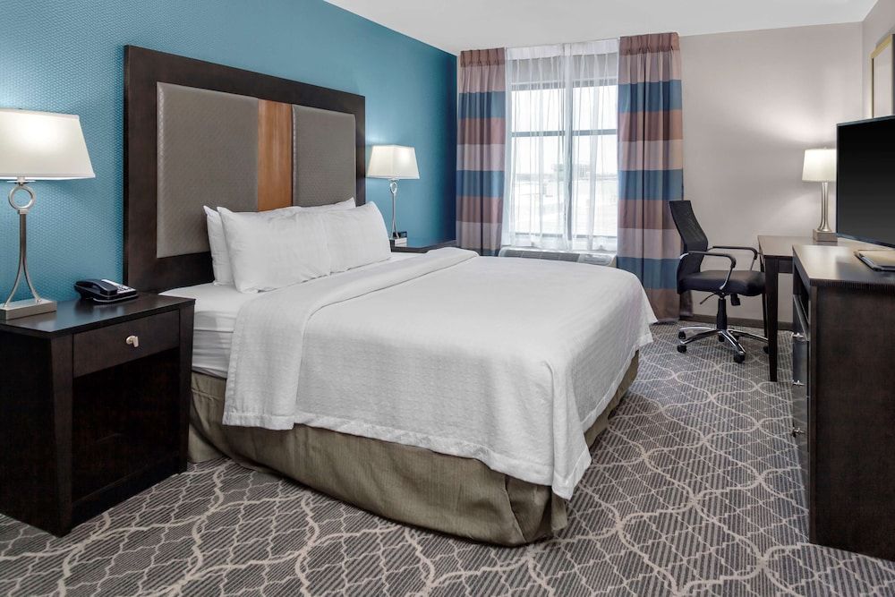 Suite, 1 Bedroom, Non Smoking