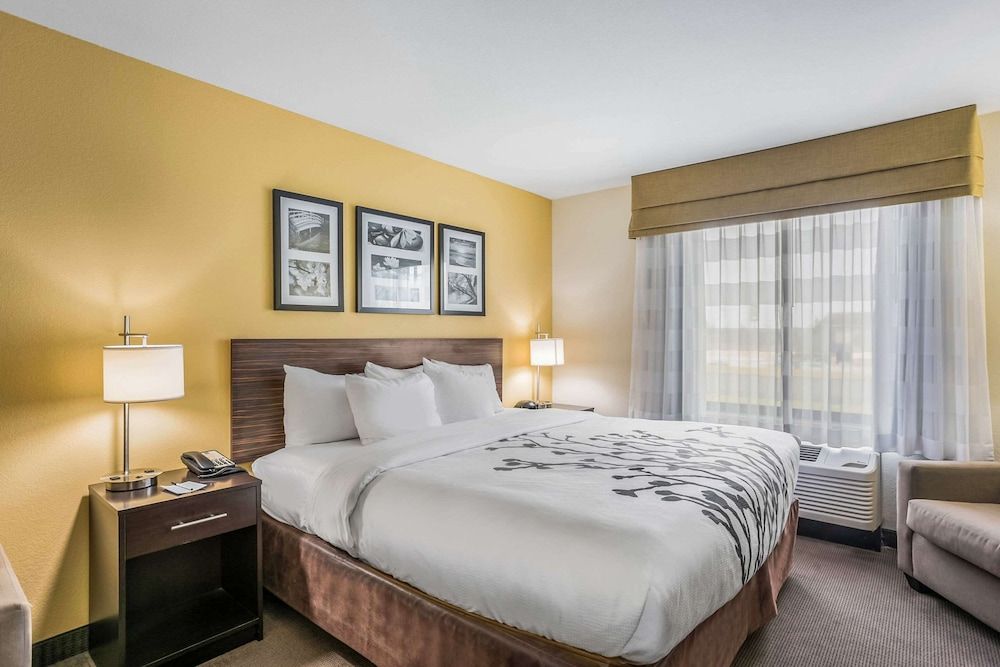 Suite, 1 King Bed with Sofa bed