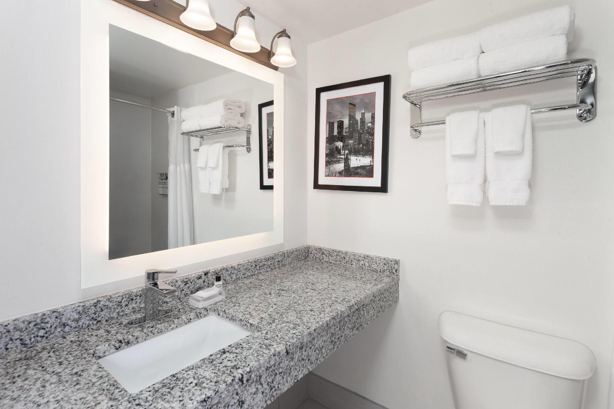 1 King Bed, 1-Bedroom, Suite, Non-Smoking