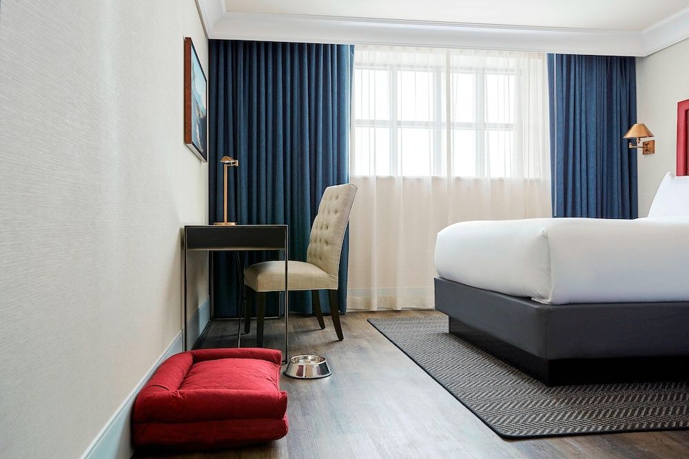 Suite, 1 King Bed with Sofa bed