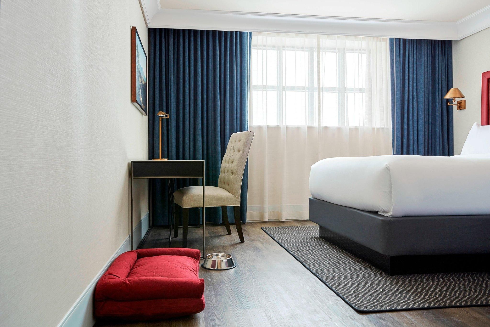 Guest room, 2 Queen, Sofa bed, Low floor