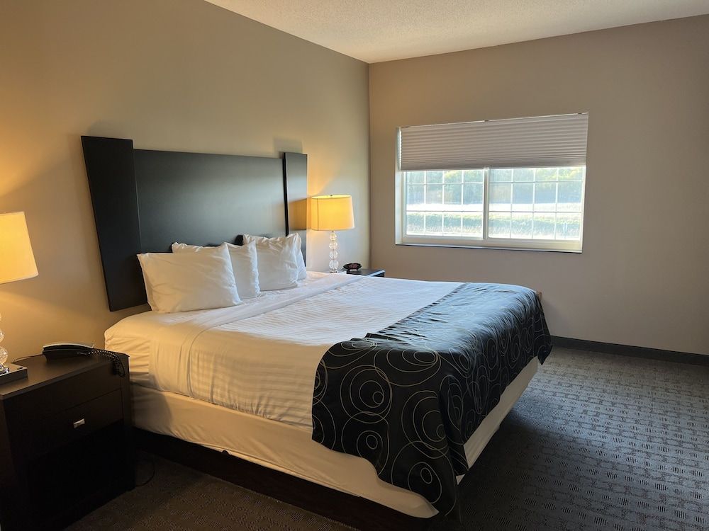 Standard Room, 1 King Bed, Accessible