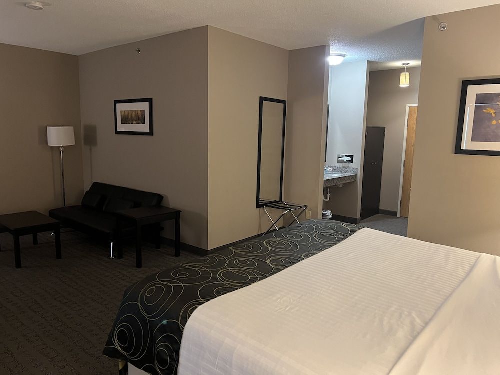 Standard Suite, 1 King Bed with Sofa bed