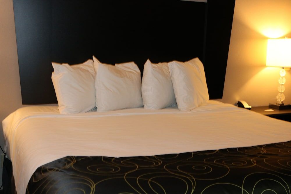 Standard Room, 1 King Bed, Accessible (Roll In Shower)