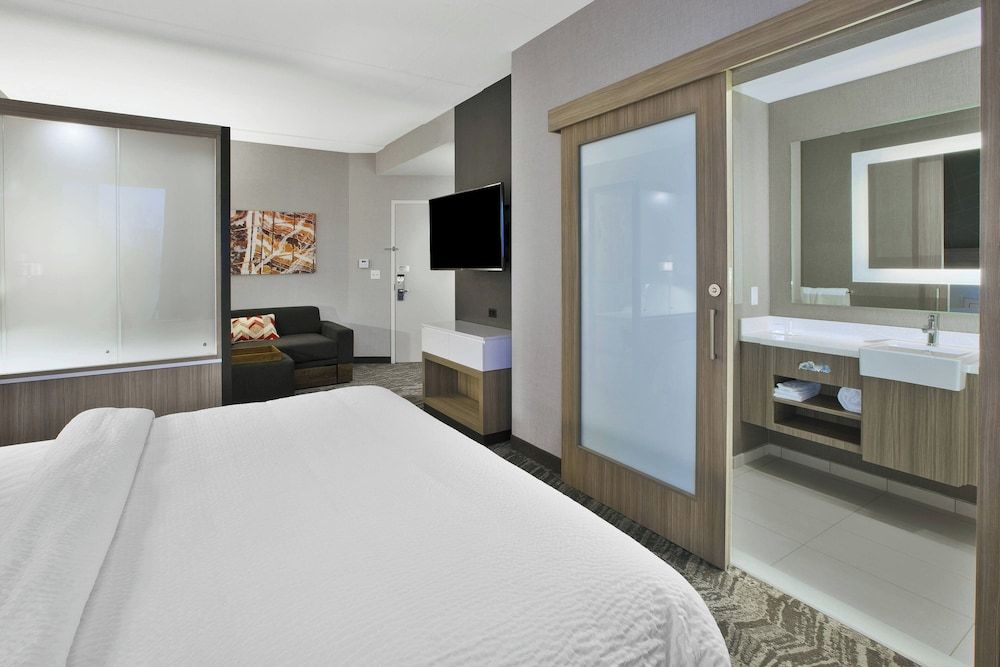 Studio, 1 King Bed with Sofa bed