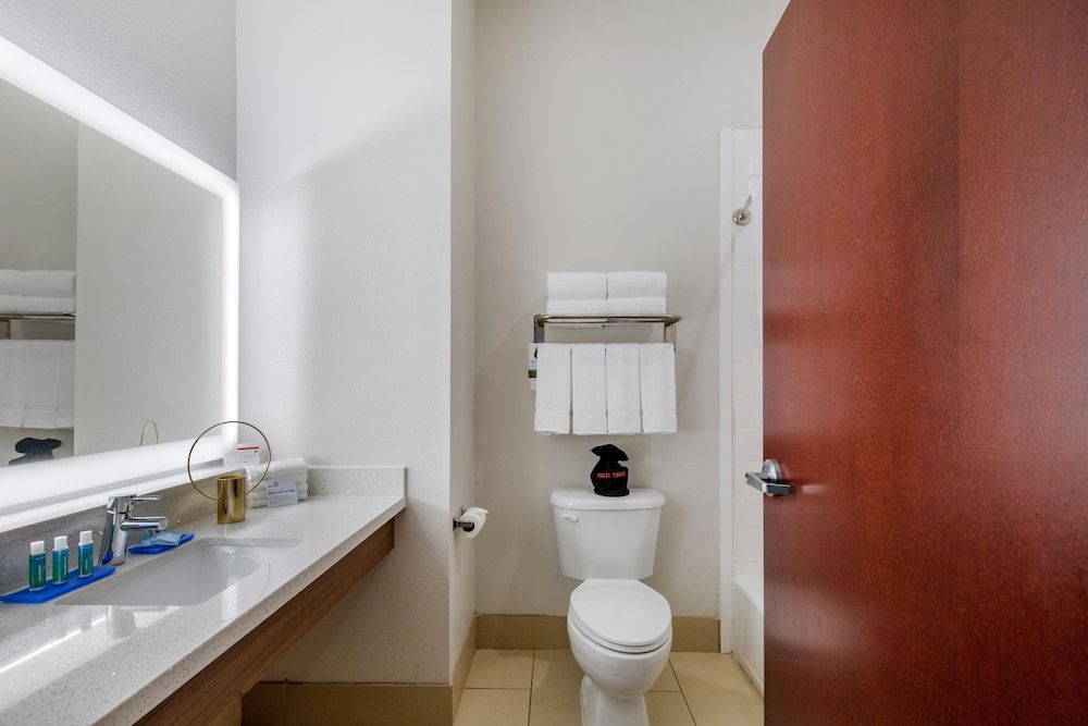 Suite, 1 King Bed, Accessible (Accessible Shower)