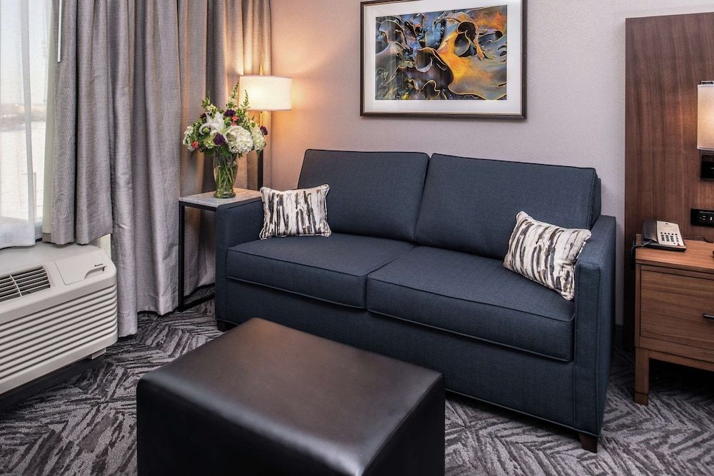 Room, 1 King Bed with Sofa bed