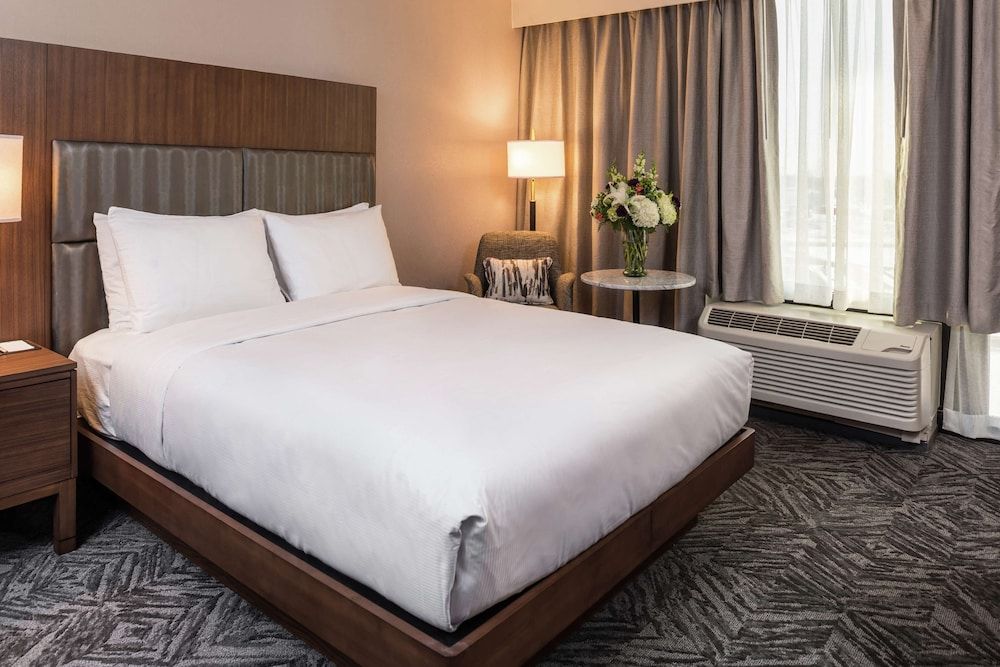 Room, 1 King Bed