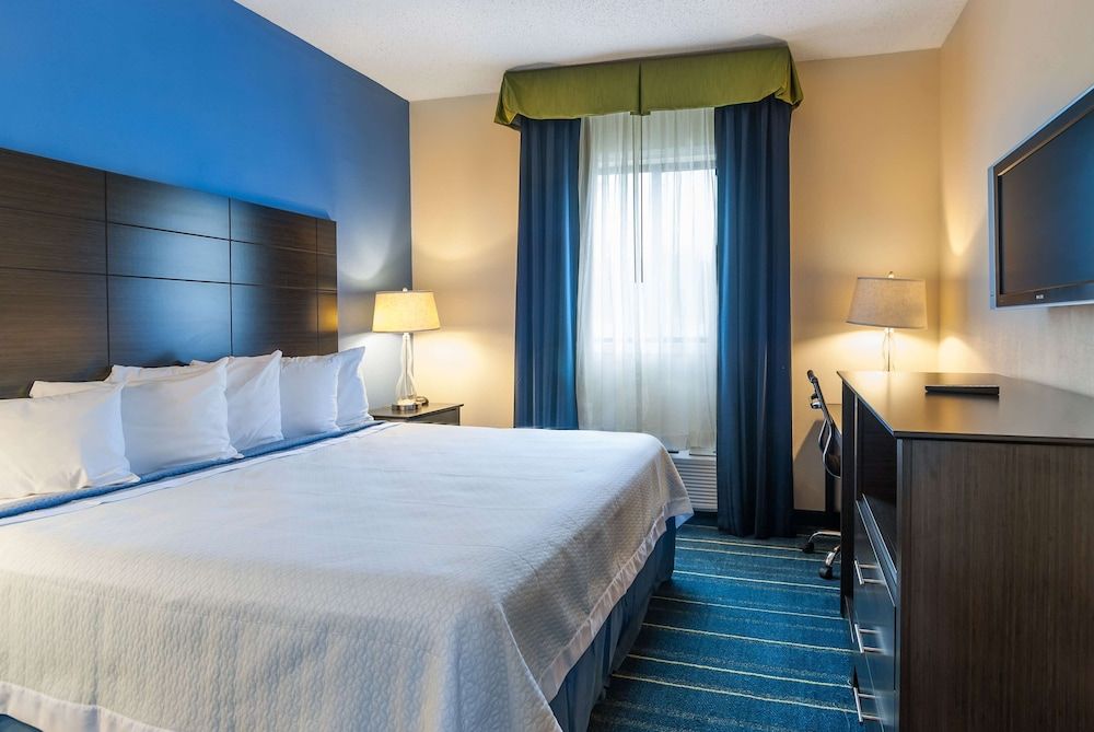 Room, 1 King Bed, Non Smoking