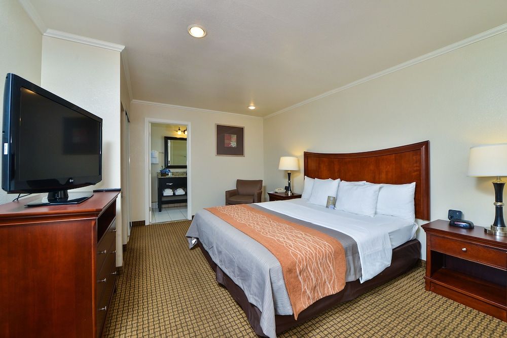 Blu Pacific Hotel Room, 1 Queen Bed, Non Smoking 7