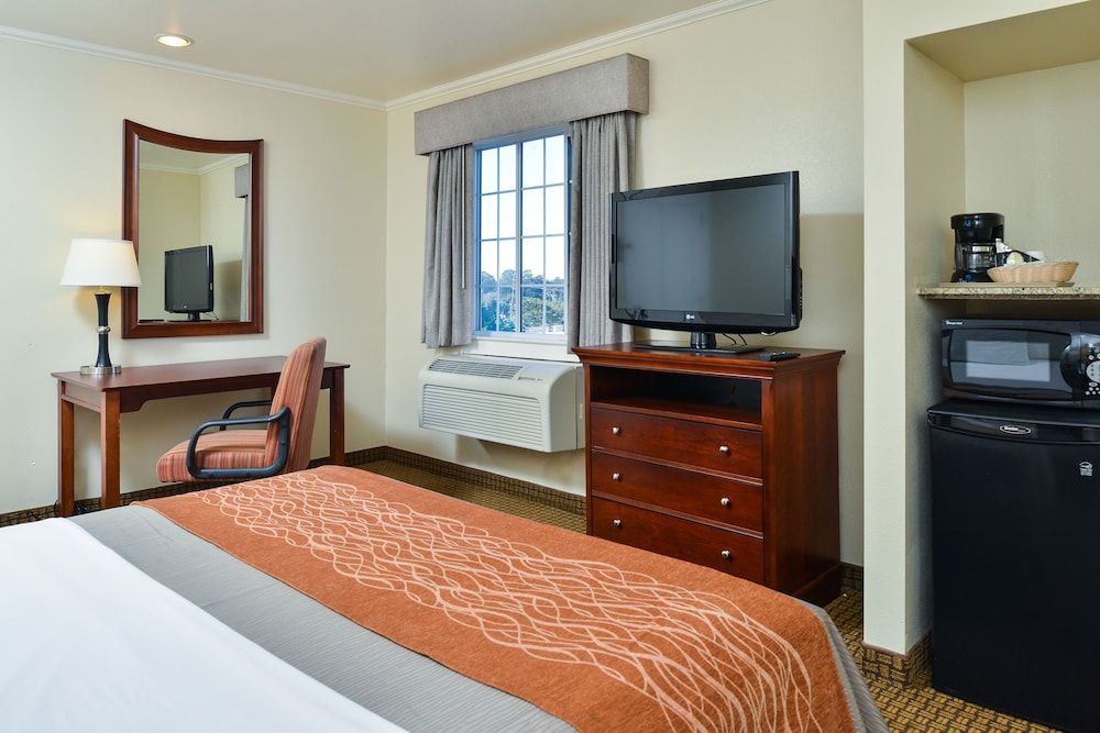 Blu Pacific Hotel Room, 1 Queen Bed, Non Smoking 3