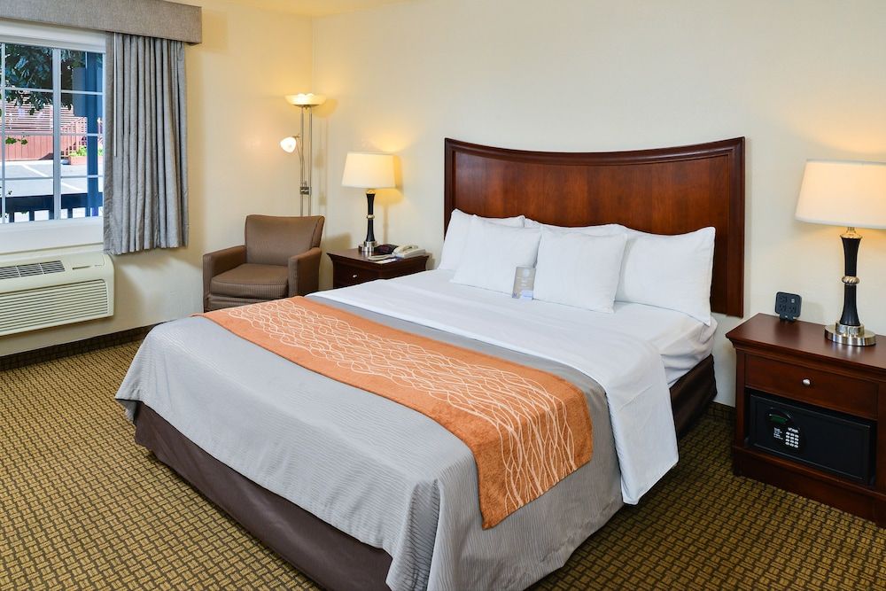 Blu Pacific Hotel Room, 1 Queen Bed, Non Smoking 4