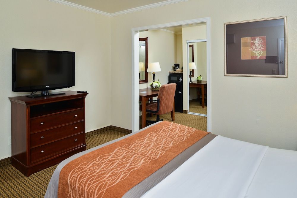 Blu Pacific Hotel Room, 1 Queen Bed, Non Smoking 5