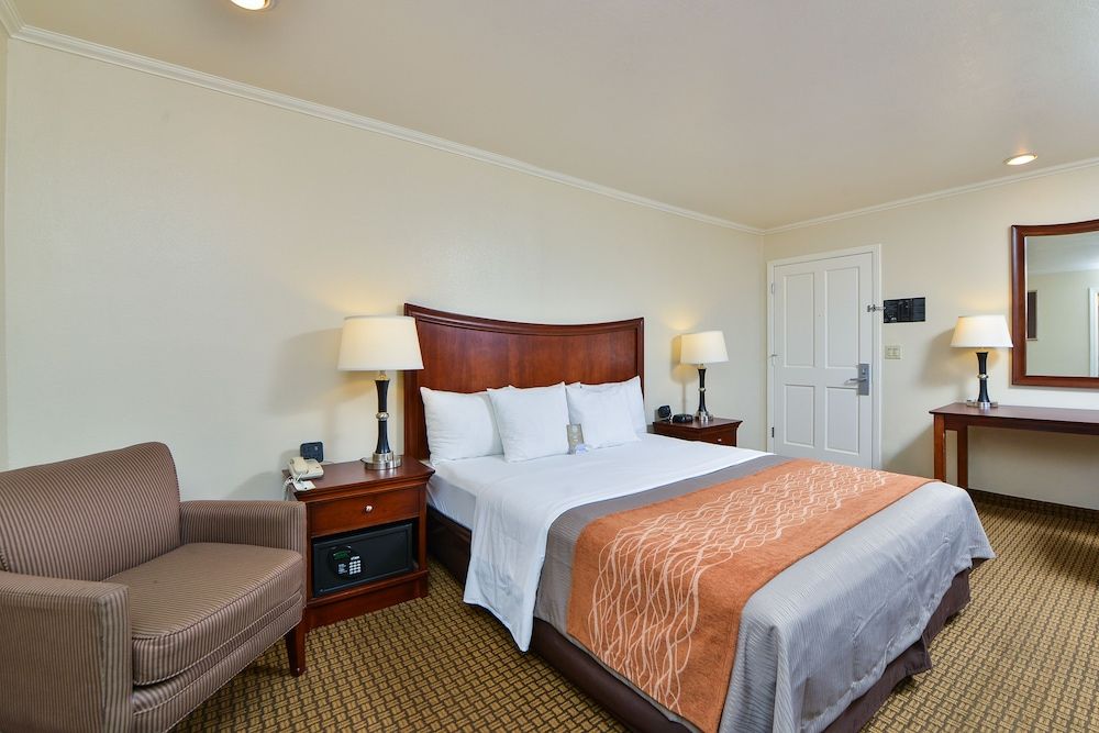 Blu Pacific Hotel Room, 1 Queen Bed, Non Smoking 2