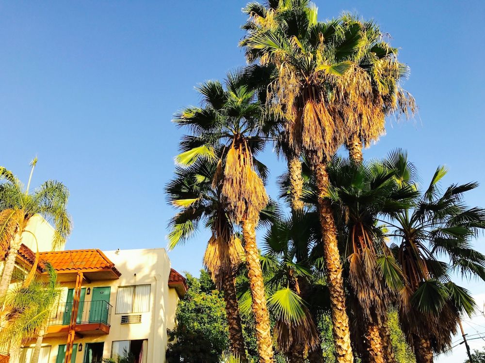 undefined Days Inn by Wyndham Anaheim Near the Park 5