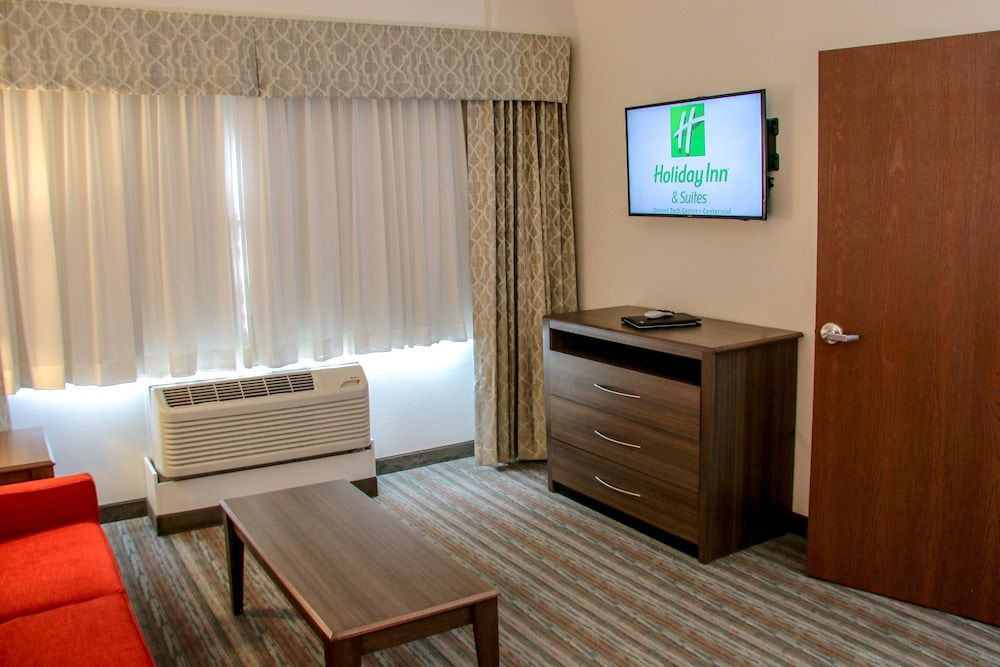 Suite, 1 King Bed with Sofa bed