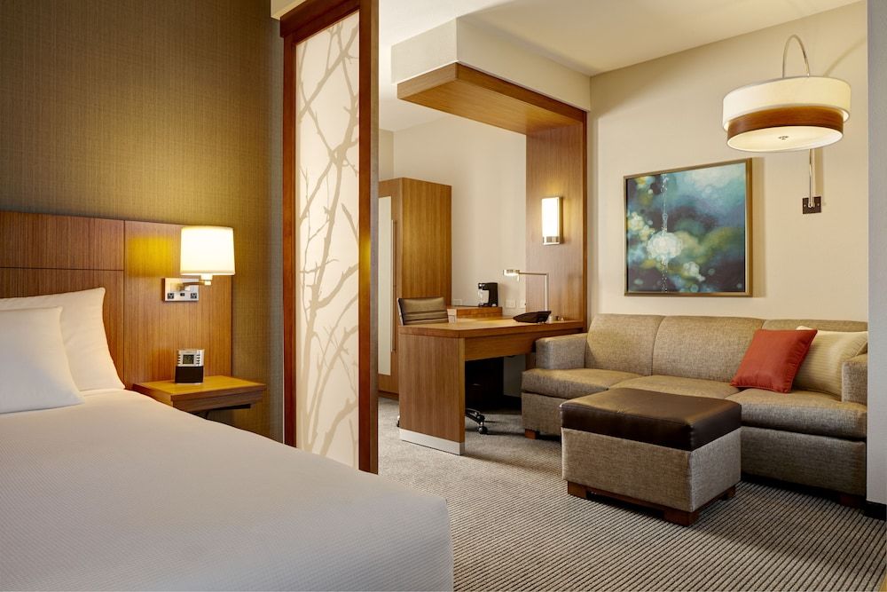 Suite, King and Sofa Bed, 1 Bedroom