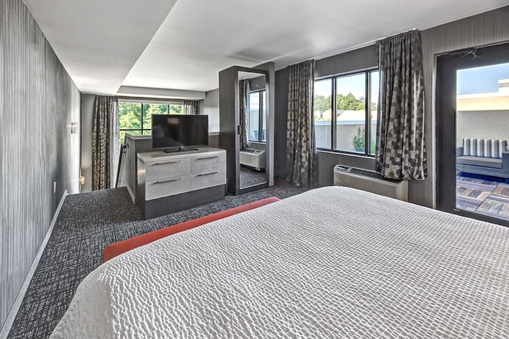 Loft, 1 King Bed with Sofa bed