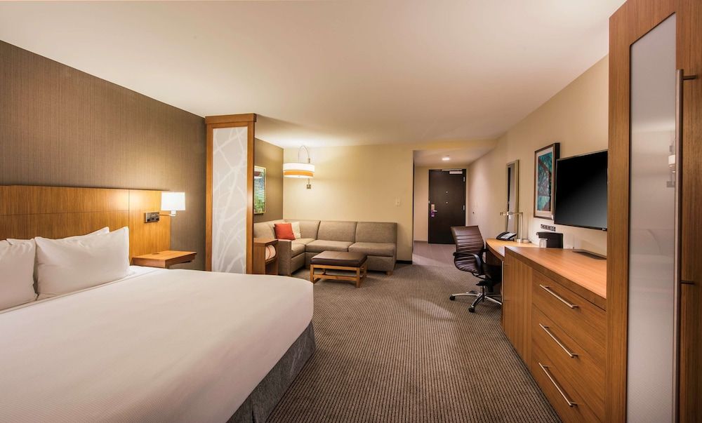 Room, 1 King Bed with Sofa bed