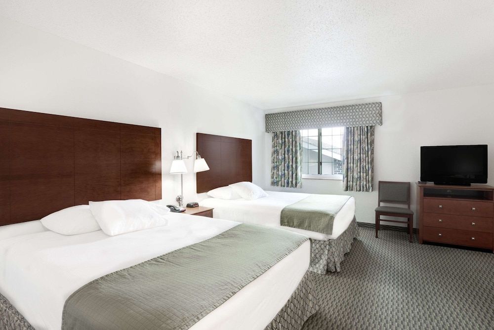 Studio Suite, Multiple Beds, Non Smoking