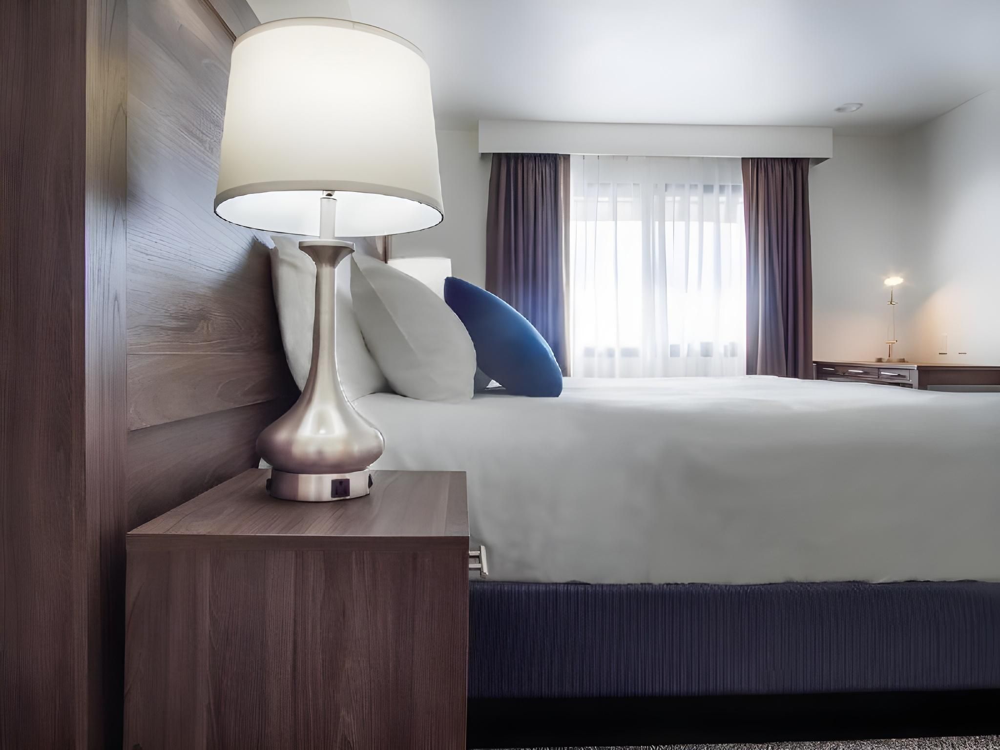 Serene Vegas Boutique Hotel Las Vegas Single King Room 9