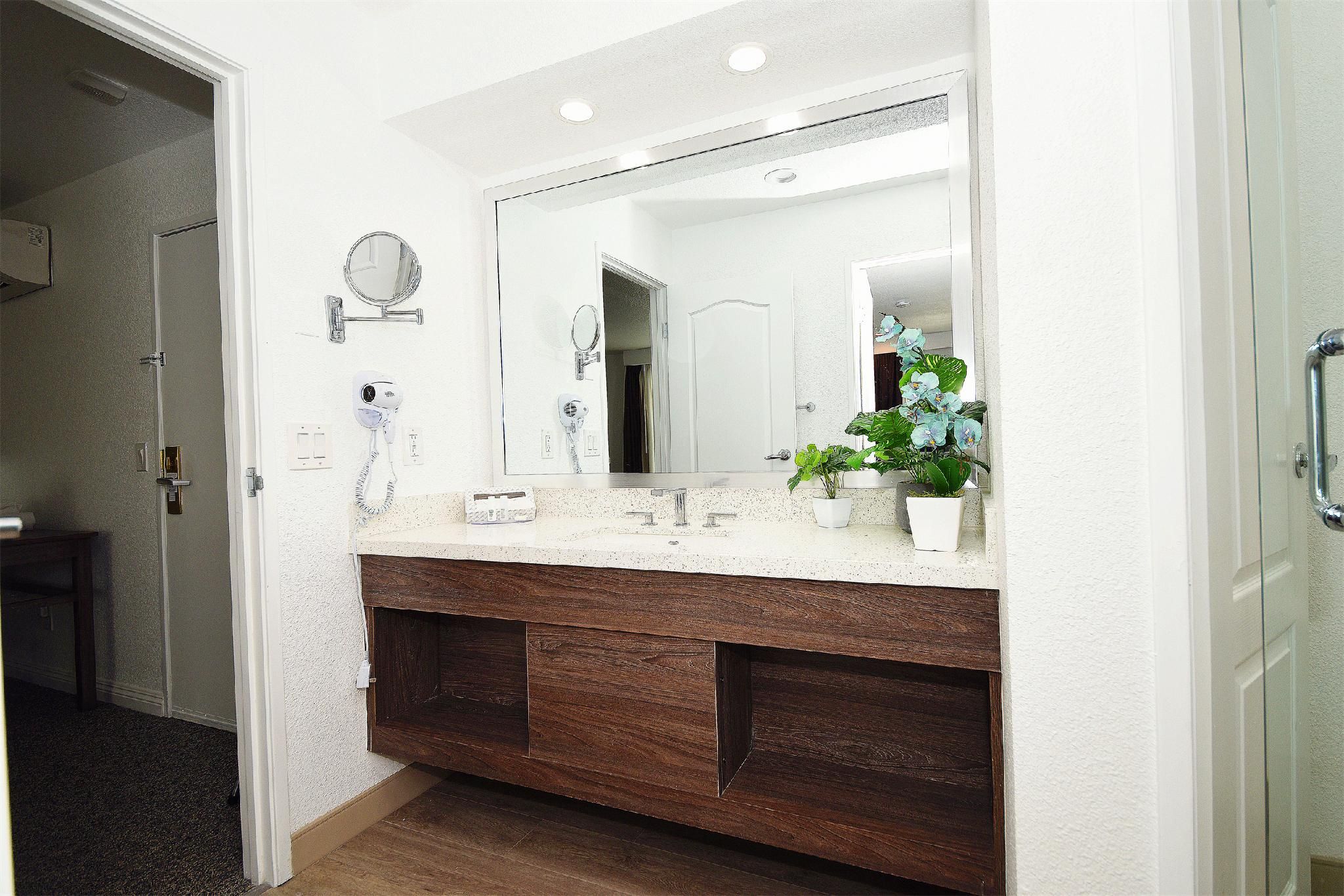 Serene Vegas Boutique Hotel Las Vegas Single King Room 10