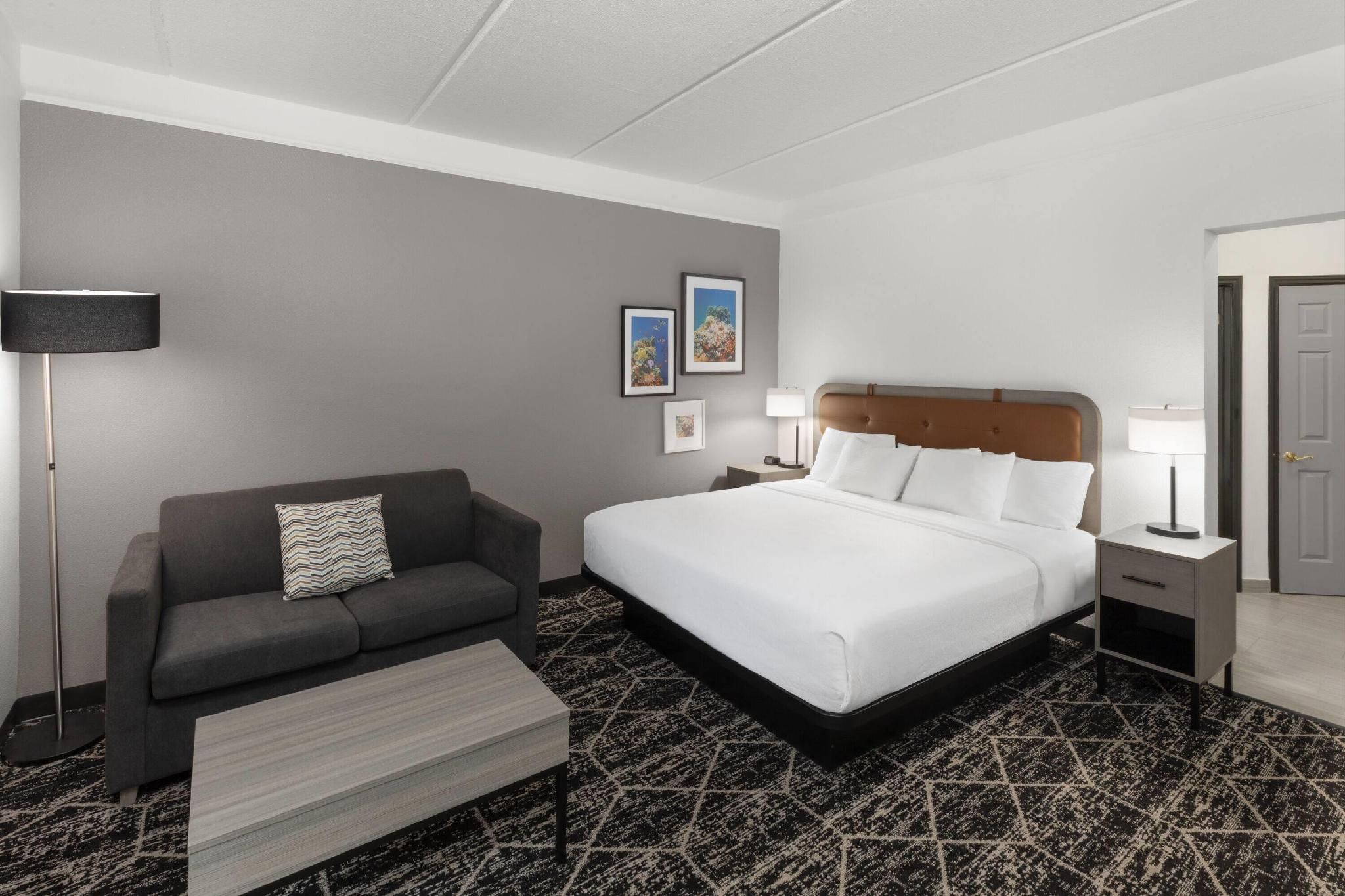 1 King Bed, Deluxe Room, Non-Smoking