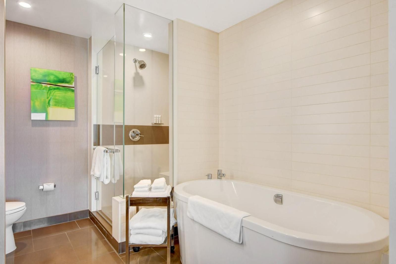 undefined Vdara Hotel & Spa at ARIA Las Vegas 5