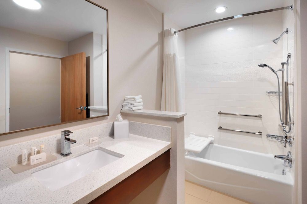 Suite, 1 King Bed with Sofa bed
