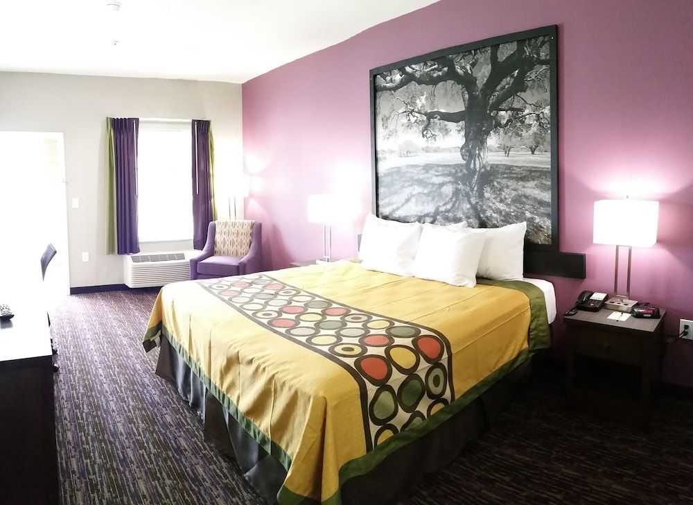 Deluxe Suite, 1 Double Bed, Accessible, Smoking (Mobility,Hearing,Roll-In Shower)