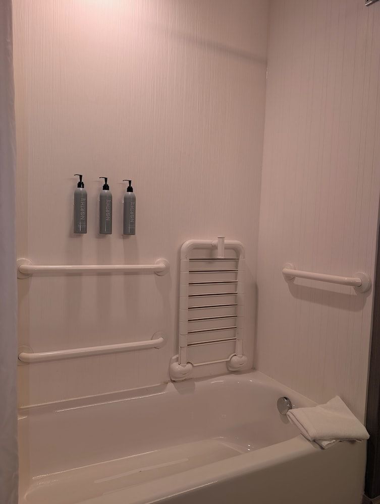 Room, 1 King Bed with Sofa bed (Mobility/Hearing Accessible, Tub)